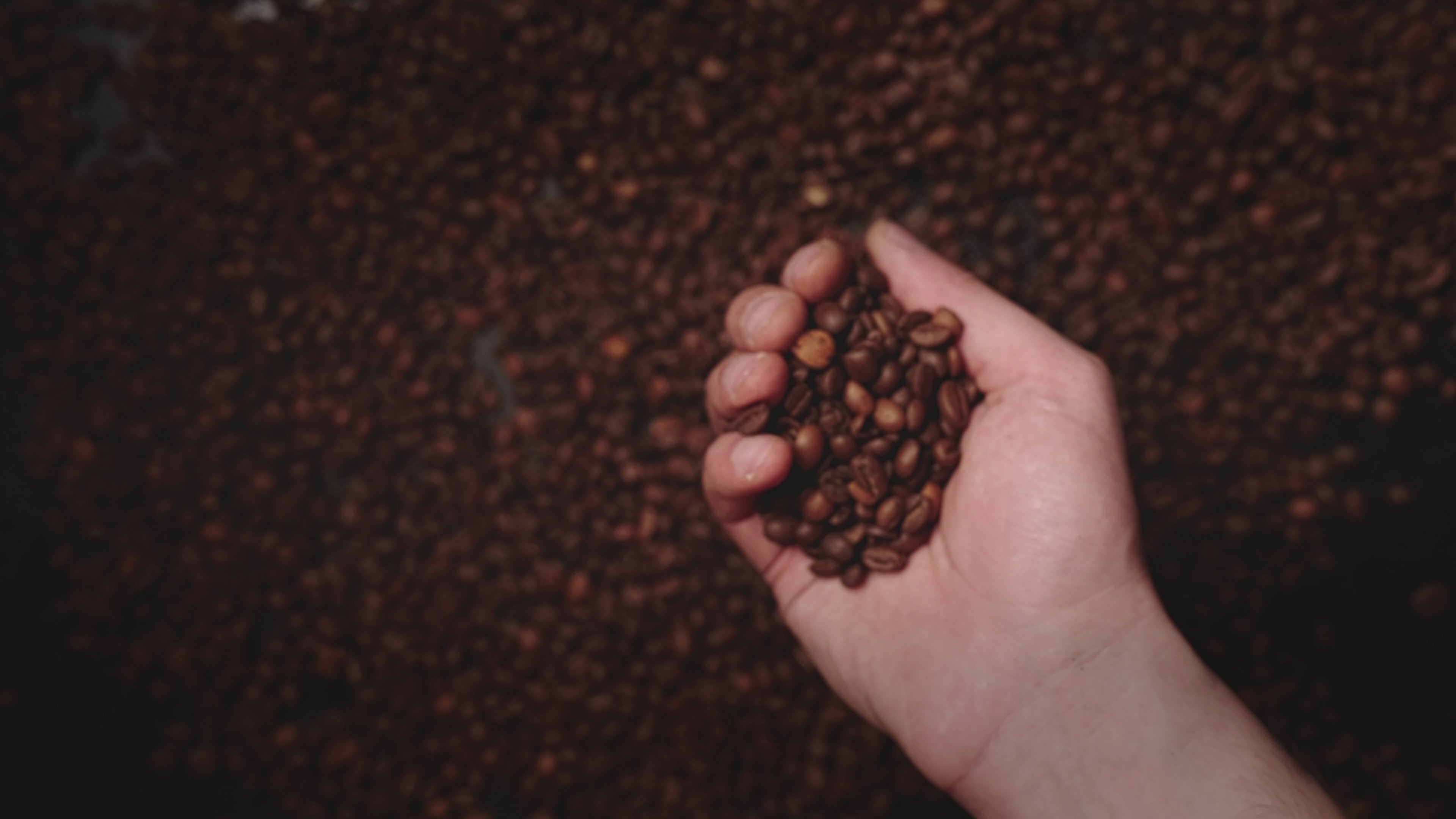 Charger la vidéo : 